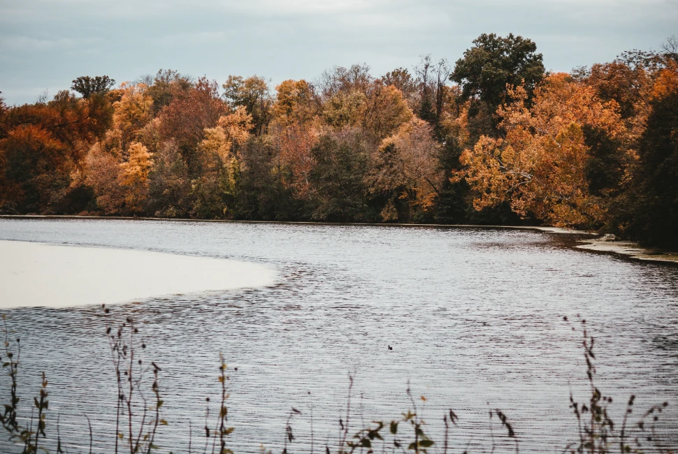 Discovering Sharonville, OH: A Charming City with Dynamic Weather Patterns