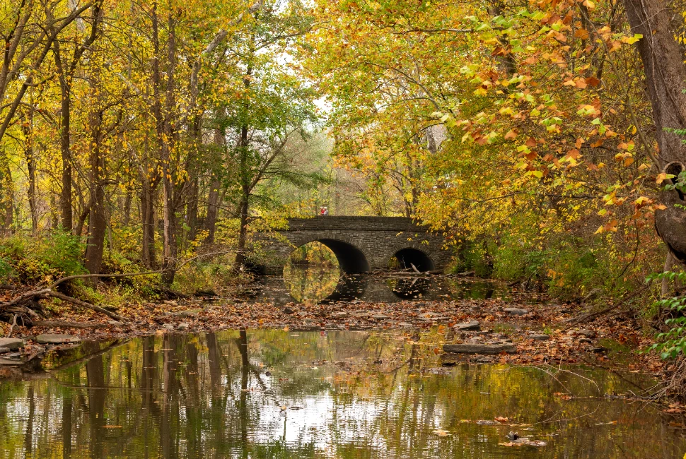 Unveiling the Hidden Gems: Attractions and Activities in Sharonville, OH