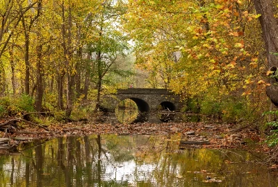 Unveiling the Hidden Gems: Attractions and Activities in Sharonville, OH